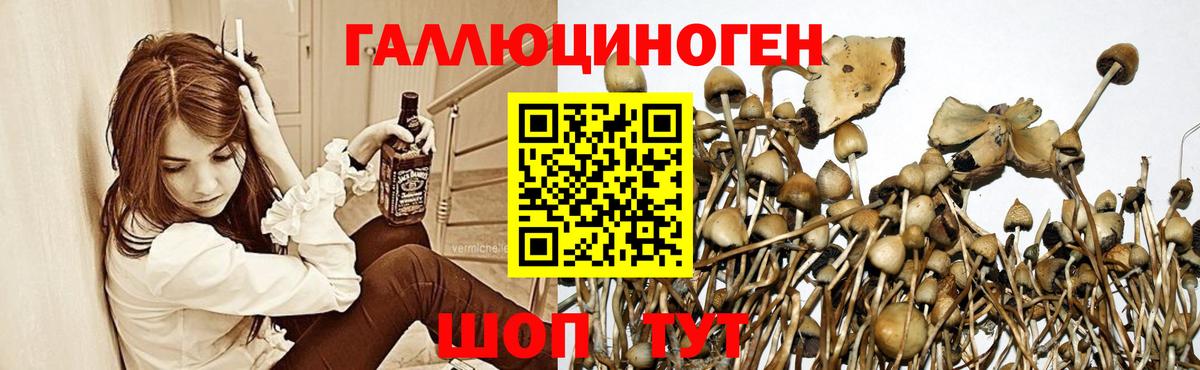Галлюциногенные грибы мухоморы  Вход с VPN  купить наркотик  Берёзовский 