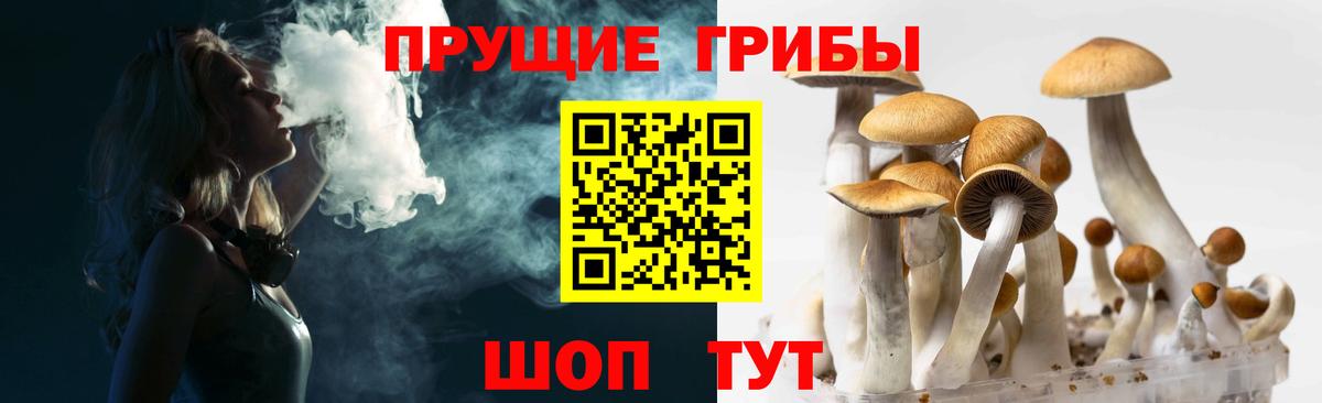 Псилоцибиновые грибы ЛСД Берёзовский